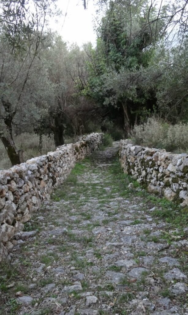 diadromos